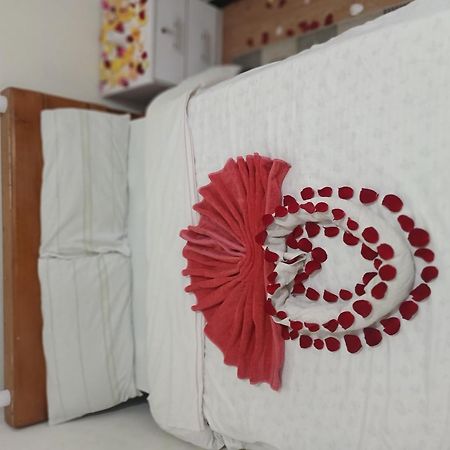 Addis Guest House Zewnętrze zdjęcie